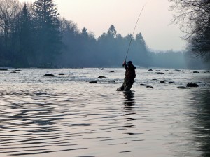 Fresh Water Fly Fishing