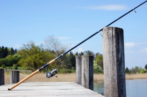 Fishing Rods