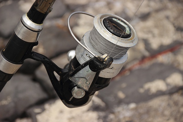 Open vs Closed Fishing Reels: Which is Best for You?