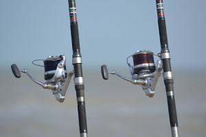 Spinning Reels