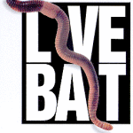 Best Live Bait For Bass