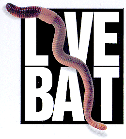 Live Bait For Bass